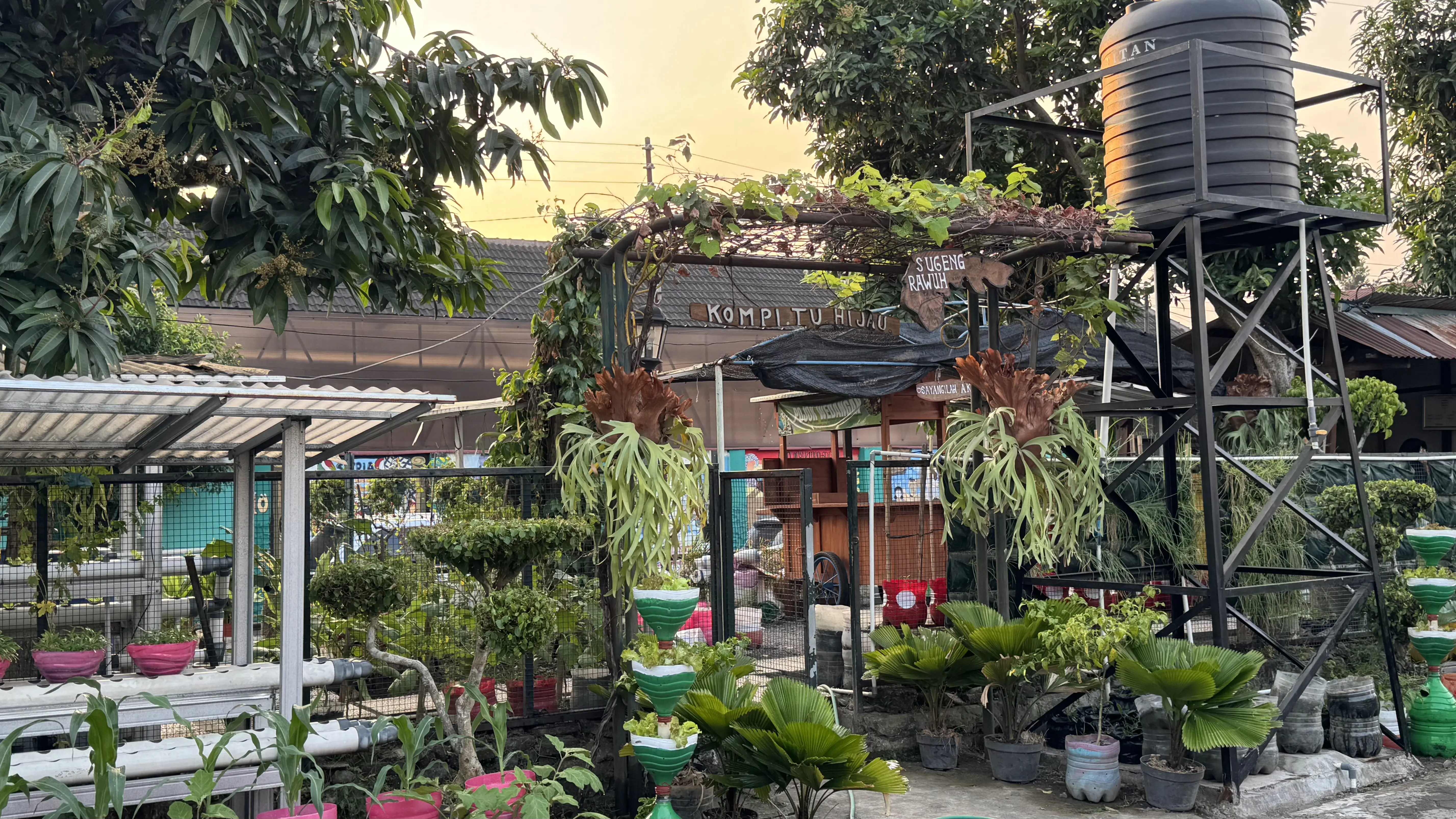 Kebun komunitas Kompitu dengan tanaman dalam petak kayu